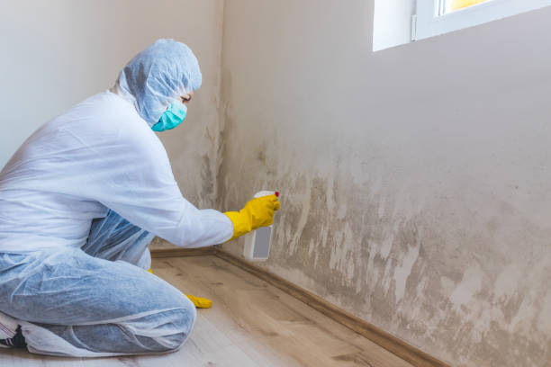 Bathroom Mold Removal assessment in Sabillasville bathroom