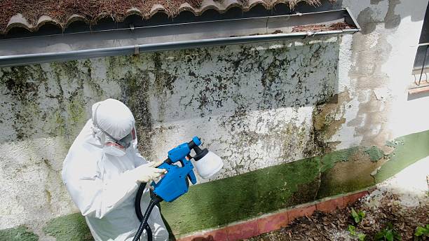 Mold Removal service in Sabillasville